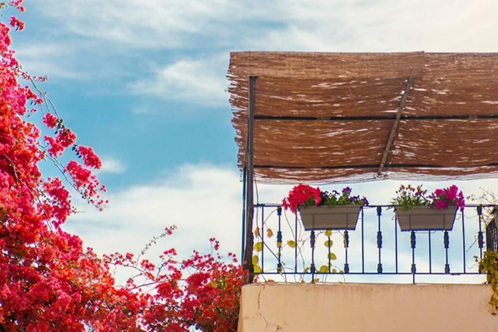 Mojacar Pueblo - Traditional Village House - The Old Jewish Quarter 외부 사진