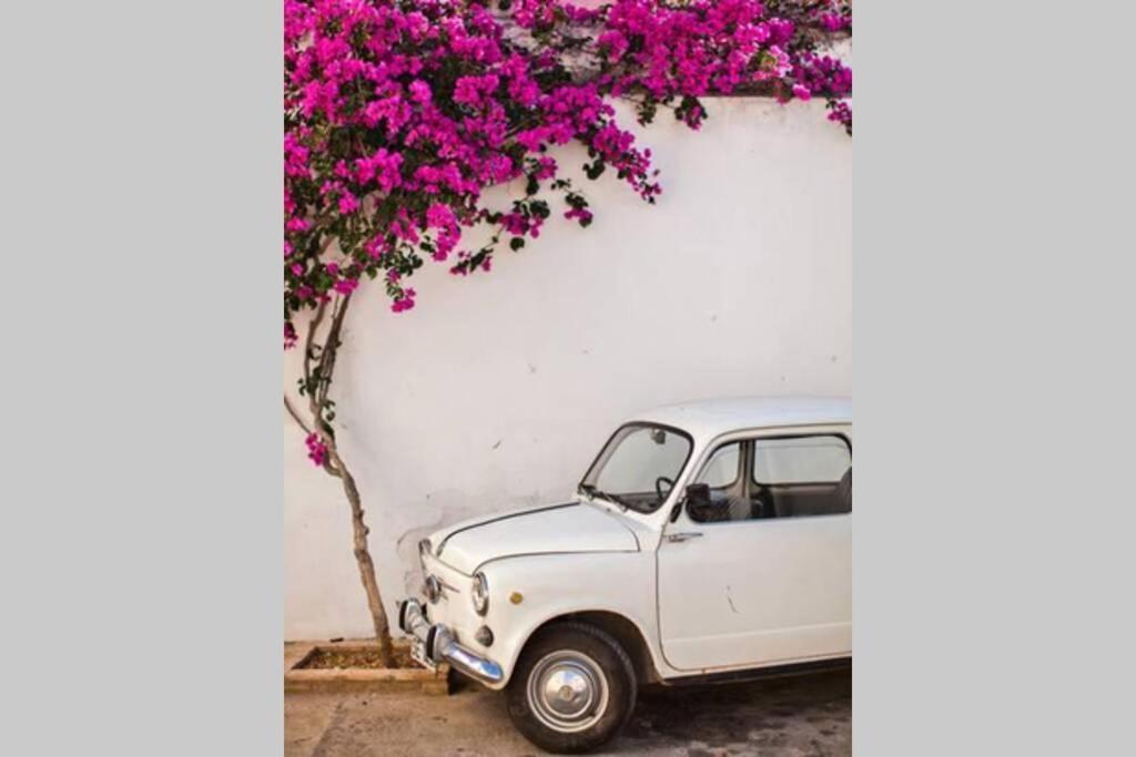 Mojacar Pueblo - Traditional Village House - The Old Jewish Quarter 외부 사진
